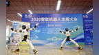 打造大湾区机器人产业创新高地！2026智能机器人发展大会在广州白云举行
