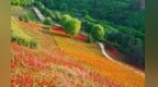 @中高考生  陕西这些景区凭准考证可免门票