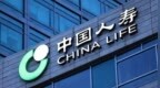 中国人寿，跌麻了