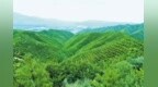 承德：防沙治沙 坚决筑牢京津冀生态安全屏障