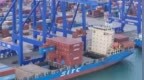 海南自贸港全岛封关半年，新增注册经营主体超17万家