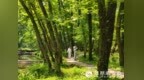安徽庐江：相思巴滩 乐享清凉浅夏时光