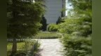 夏风入画　邂逅甘肃通渭悦心国际书画村