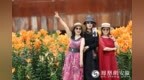 安徽合肥：百合花开引客来