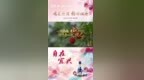 联合国世界旅游组织大使祝善忠：一颗杨梅，是自然与时令赠予身心的“悦己”