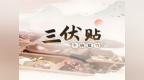 齐鲁德医健康提醒 | 一贴温阳散寒，三伏养生无忧，冬病夏治三伏贴即将来“袭”