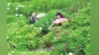 有“颜”有“值”　兰州新区美丽经济撬动乡村振兴