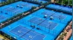 构建全场景网球生态 日照打造城市网球新地标
