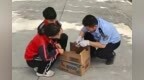 乌什：警民联手救助国家二级保护动物——纵纹腹小鸮