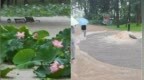 深圳超1300座公园因暴雨关闭