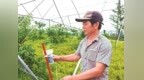 每隔几分钟喷一股“白烟”，让害虫“找不着对象” 奉化桃园有了“驱虫神器” 虫害发生率直降八成