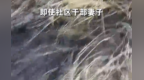 安徽一女孩点燃野草，父亲扑火不幸身亡，家属：有人要求他灭火后才能离开