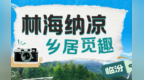 乡村四时好风光·夏季篇丨临汾：林海纳凉 乡居觅趣