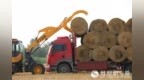 安徽合肥：秸秆装车清运忙