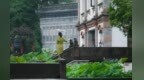 走，一起去拍养眼“荷”照