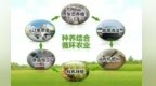 "生态包袱"变身"绿色财富"　甘肃凉州激活农业循环经济