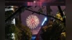 玉兰光影落临港：一座年轻新城的烟火与热烈