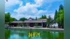 高温下享“清凉感” 济南大明湖蓝天白云映碧荷