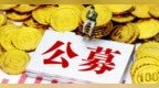 知名基金经理最新调仓显现 医药分歧扩大 硬科技、电网获增持