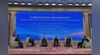 国内外职教大咖齐聚新疆，共探跨境办学与产教融合新路径