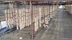 阳光财险内蒙古分公司：保险“活水”润产业 呼伦贝尔乡村振兴底气足