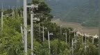 官方通报“果园里密密麻麻立满监控”
