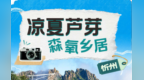 乡村四时好风光·夏季篇丨忻州：凉夏芦芽 森氧乡居