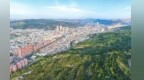 甘肃通渭：南北山绿了　城市美了