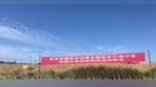 一粒油菜籽背后的粮油安全答卷