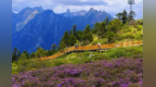 盛夏官鹅沟：揽青山碧水　赴一场山野盛宴