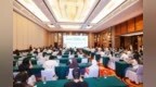 聚力深耕中东欧 赋能中企新出海！这场专题研讨会广受关注
