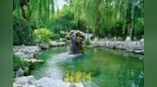 水位大涨！趵突泉刷新今年涨幅，月牙飞瀑如画
