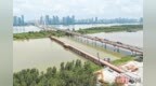 武汉白沙洲公铁大桥施工栈桥 “牵手”江心沙洲