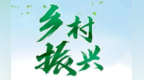 林下经济绿色发展　甘肃民乐激活乡村振兴有妙招