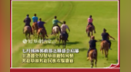 七月锡林郭勒那达慕盛会启幕 非遗盛会尽显草原独特风情 奔赴草原共赴民族欢聚盛宴