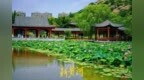 山湖入画 洋涓湖荷花盛放与药山相映成趣