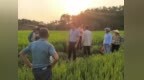 赓续百年红船初心 重塑基层战斗堡垒——北大镇丰丹村从软弱涣散到先进标杆党建振兴答卷