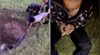 大爷被困深水坑众人合力施救，夫妻拒收千元感谢费