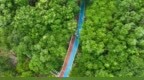 东昌湖湿地岛：水清岸绿入画来