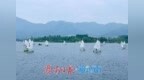 无海济南扬起“蓝海”风帆 一座内陆城市的“水经济”破局之路