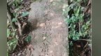 高安一工地发现古墓 当地文物部门：暂未开展考古发掘，墓主身份待考证