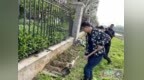 规范公共区域种菜！袁州区发布倡议书