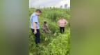 八旬老人失联两天 民警荒地紧急搜救平安找回