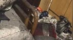 15岁少年在家中和同学饮酒后裸身死亡，警方通报