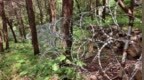 泰山的公开信是在道歉吗？要不大家给景区道歉得了