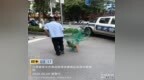 莲花县文明养犬整治见成效：6月收容流浪犬12只、教育劝导54人次