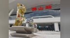 白兰绽放迎客来！广湛高铁佛山站正式开通运营