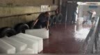 郑州一制冰厂一天狂卖150多吨工业用冰 员工上班需要穿棉袄