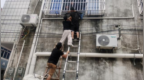 惊险一幕！幼童头卡防护网悬空遇险