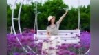 甘肃永靖花海绝绝紫